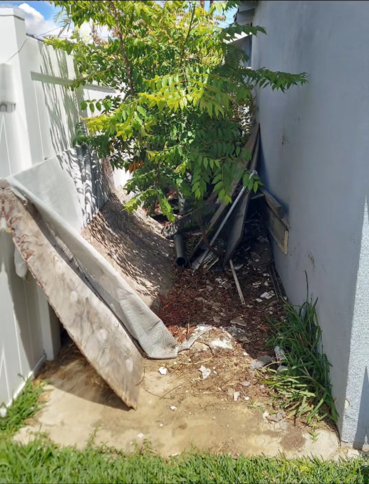 Side yard before cleanup - SoCal Cleanup & Hauling